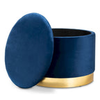 Marisa Glam and Luxe Upholstered Storage Ottoman