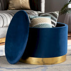 Marisa Glam and Luxe Upholstered Storage Ottoman