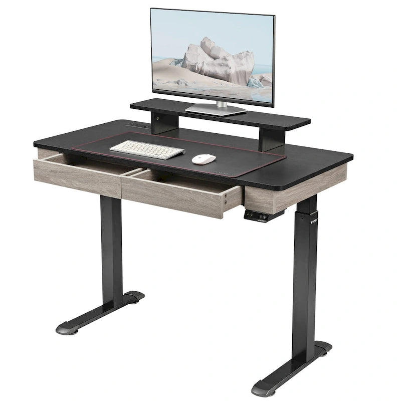 Eureka Ergonomic Home Office Electric Height Adjustable Standing Desk with 2 Drawers & Monitor Stand