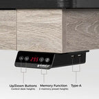 Eureka Ergonomic Home Office Electric Height Adjustable Standing Desk with 2 Drawers & Monitor Stand