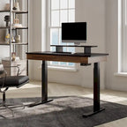 Eureka Ergonomic Home Office Electric Height Adjustable Standing Desk with 2 Drawers & Monitor Stand