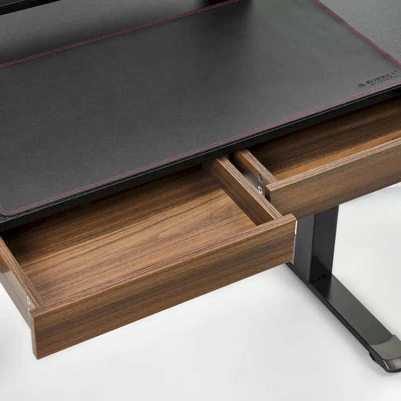 Eureka Ergonomic Home Office Electric Height Adjustable Standing Desk with 2 Drawers & Monitor Stand