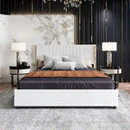 LED Platform Bed with Storage Drawer - Contemporary Bedroom Furniture