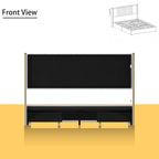 LED Platform Bed with Storage Drawer - Contemporary Bedroom Furniture