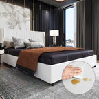 LED Platform Bed with Storage Drawer - Contemporary Bedroom Furniture