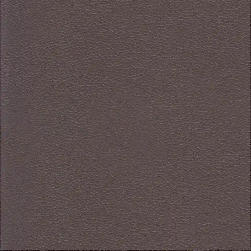 Ivy Living Cassia Top Grain Leather Chair With Feather, Memory Foam and Springs