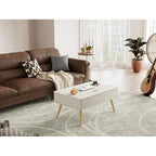 Elevatelux Rectangle Lift Top Square Coffee Table With Storage 37 x 23.5